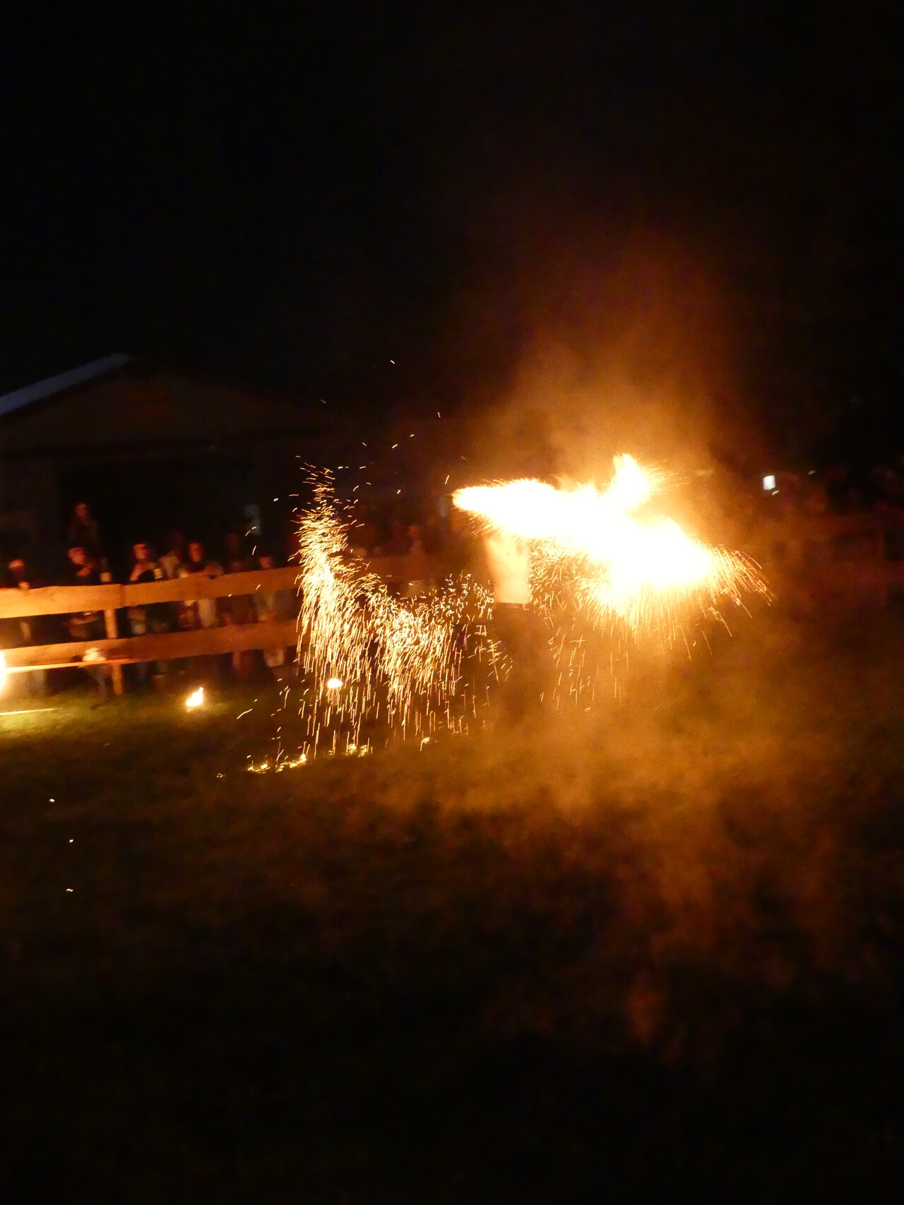 Southern Flames
