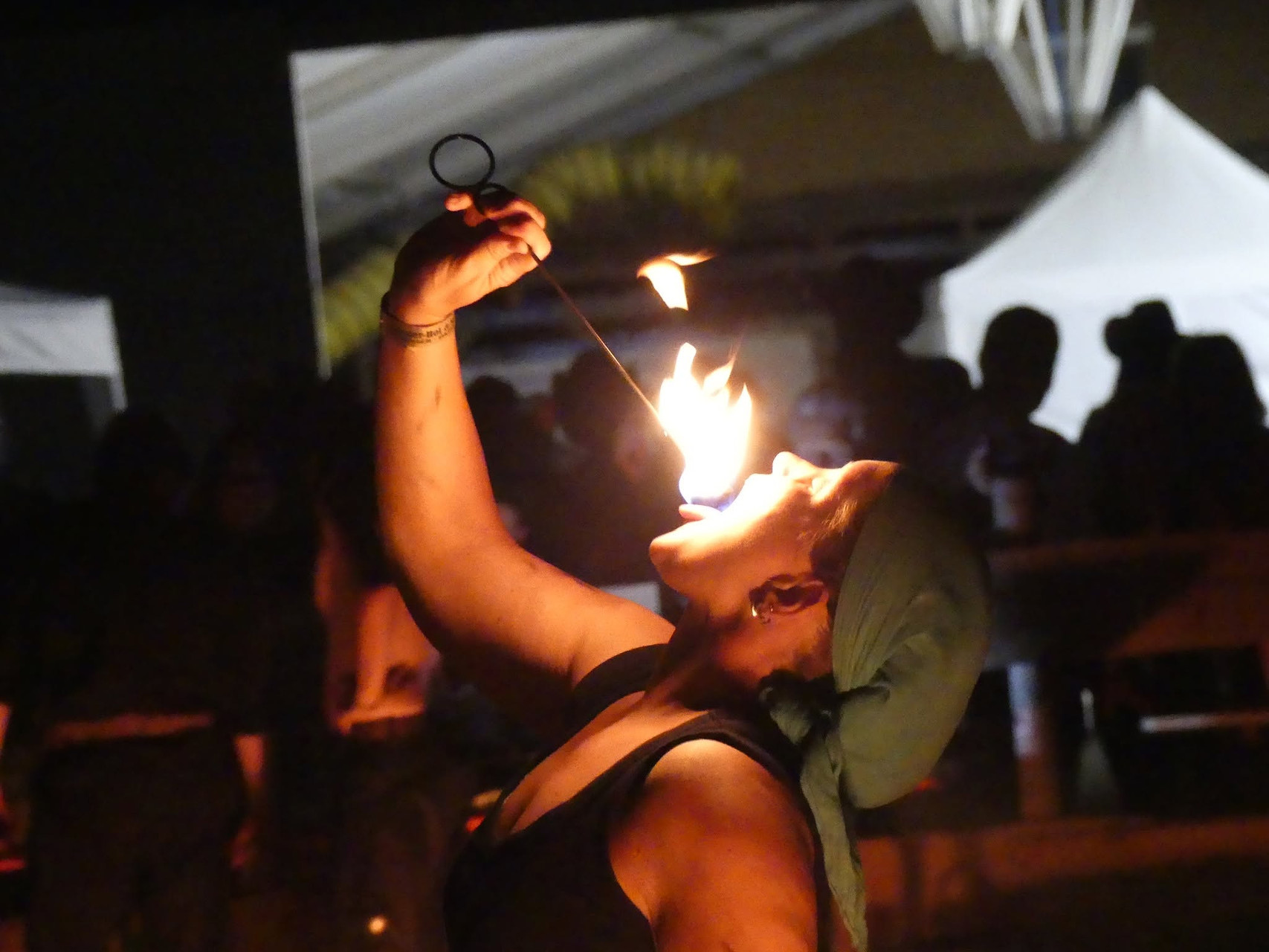 Southern Flames